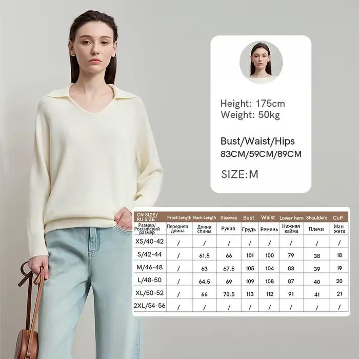 AMII femmes pull 2025 automne nouvelle femme vêtements couleur unie col en v pull ample à manches lo