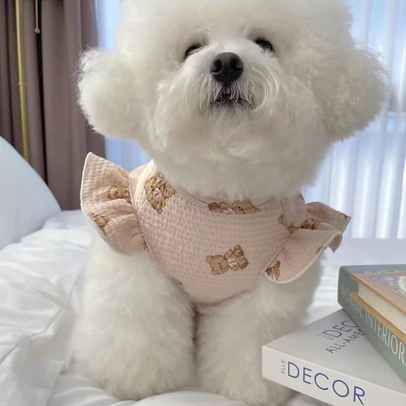 T-shirt de traction beige pour animaux de compagnie, vêtements d'été de dessin animé Teddy, vêtement