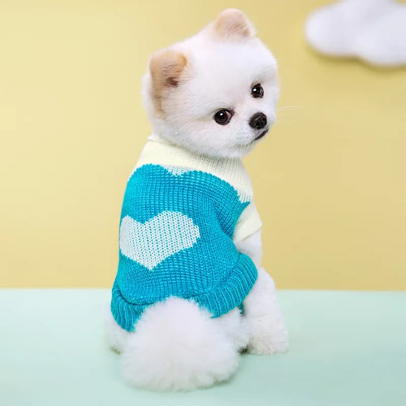 Pull en tricot doux et confortable pour chien, col roulé, vêtements chauds pour animaux de compagnie
