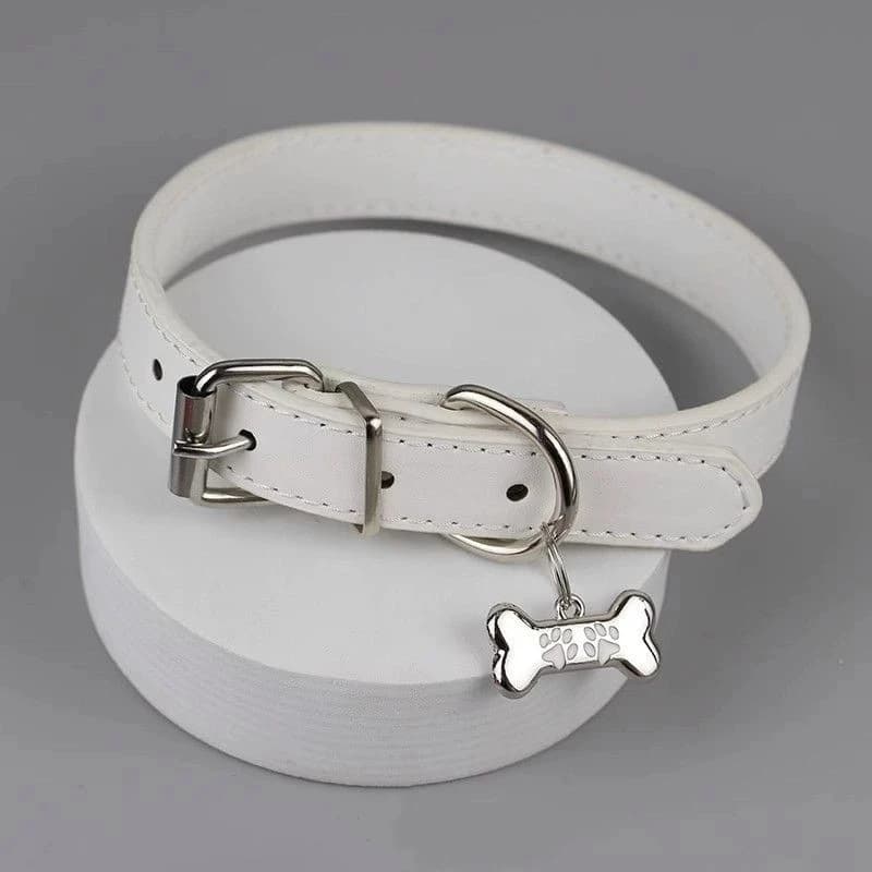 Collier en cuir PU pour femmes, 1 pièce, chaîne Punk, griffe de chien, breloques en os, ras du cou, 