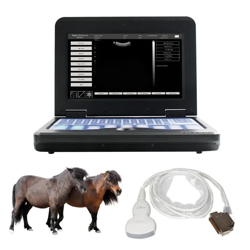 Échographe vétérinaire B/N USG pour clinique vétérinaire d'élevage, hôpital, soins aux animaux et fo