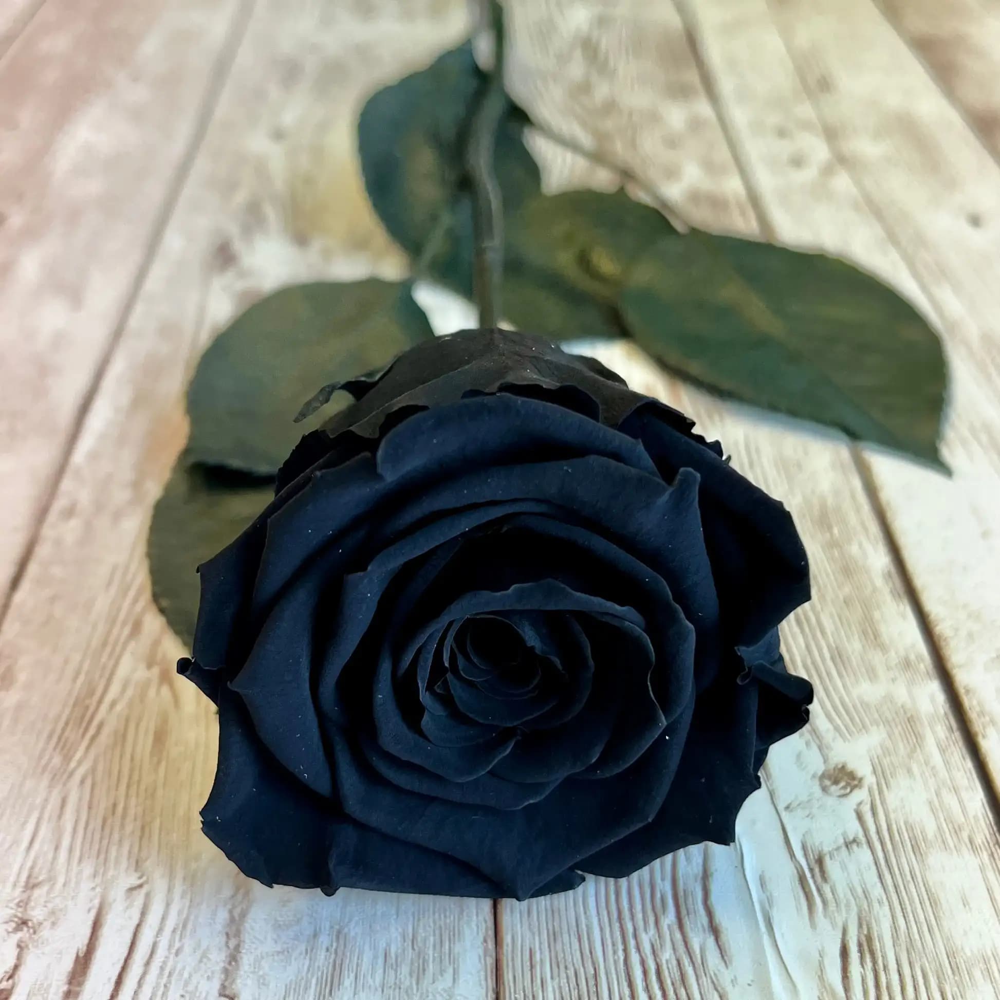 Group rose avec tige pour femme, fleur éternelle naturelle, fleur unique, longue durée, anniversaire