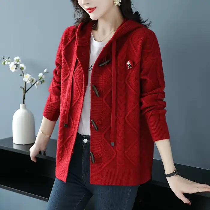 Pull tricoté Cardigan femmes printemps automne 2025 nouveau à manches longues ample à capuche pull d