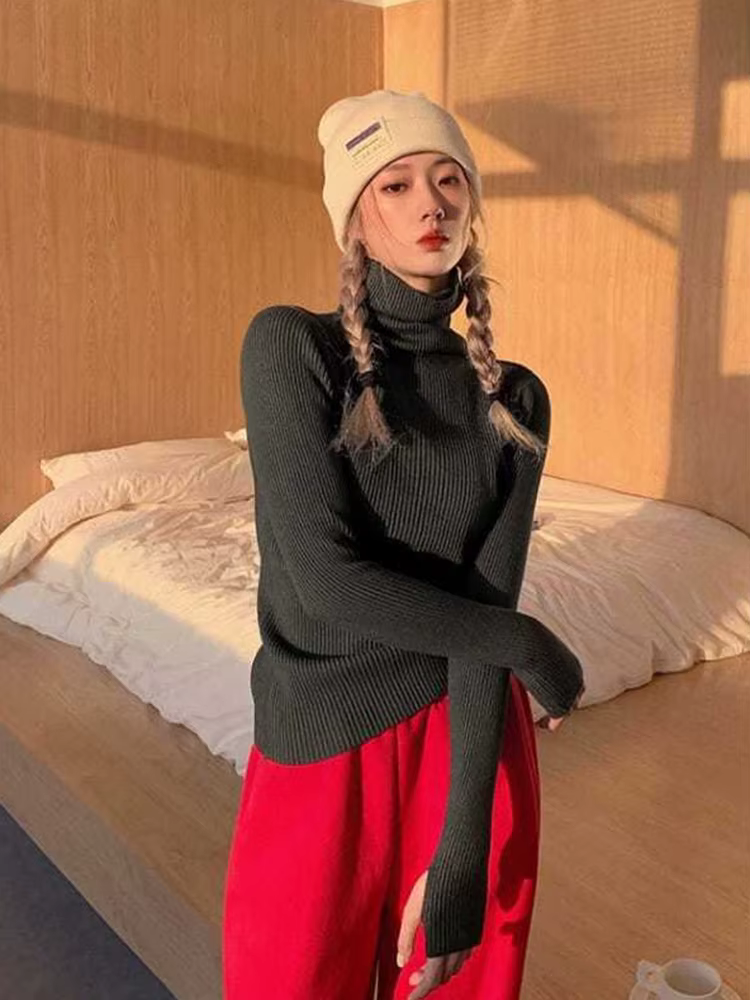 Pull tricoté à col roulé pour femme, Version coréenne, couleur unie, amincissant, intérieur de rodag