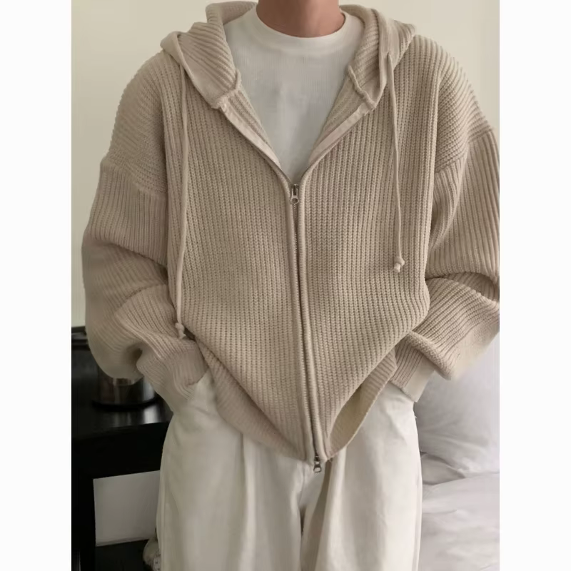 Cardigan à capuche pour homme, automne, polyvalent, décontracté, couleur unie, fermeture éclair