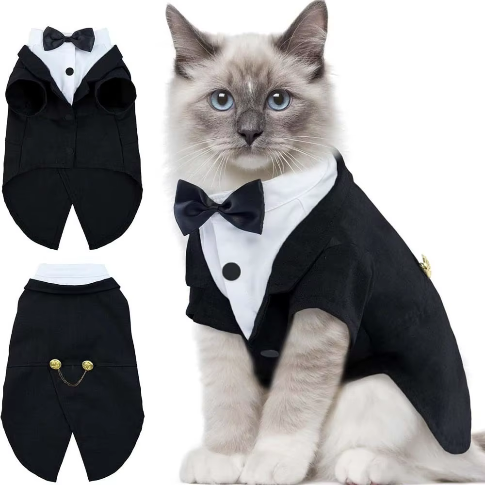 Chemise chat gilet vêtements chat anniversaire manteau vêtements tenue formelle robe de mariée avec 
