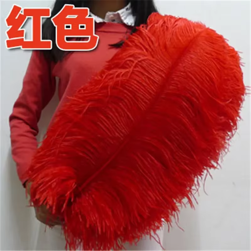 Plumes d'autruche Plume bricolage Performance Plumes 65-70 cm 26-28 pouces Plumes de noël pour artis