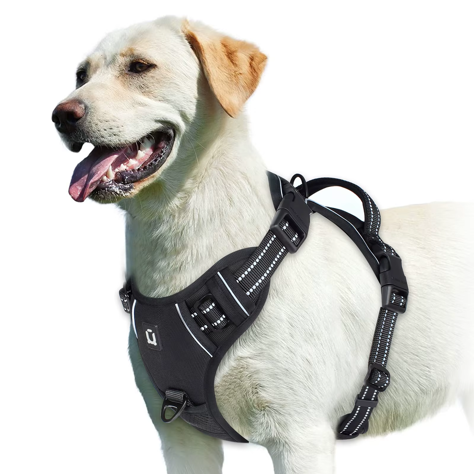 Chien sans côtes SFP, glaçure douce rembourrée réglable pour animaux de compagnie, poignée de contrô