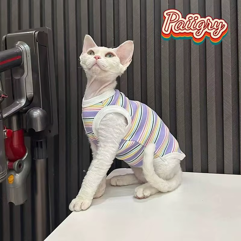 Gilets rayés colorés pour chats, vêtements d'été pour animaux de compagnie, pour chats sans poils, c