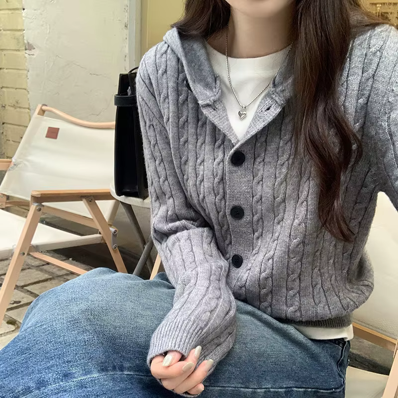 Pull de Style paresseux pour femmes, nouveau Style, avec capuche, manches longues, Cardigan tricoté,