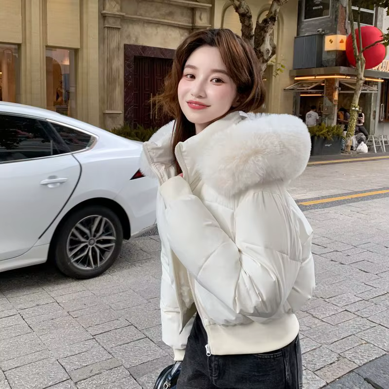 Doudoune courte à capuche pour femme avec grand col en fourrure, nouvelle collection hiver 2026, épa