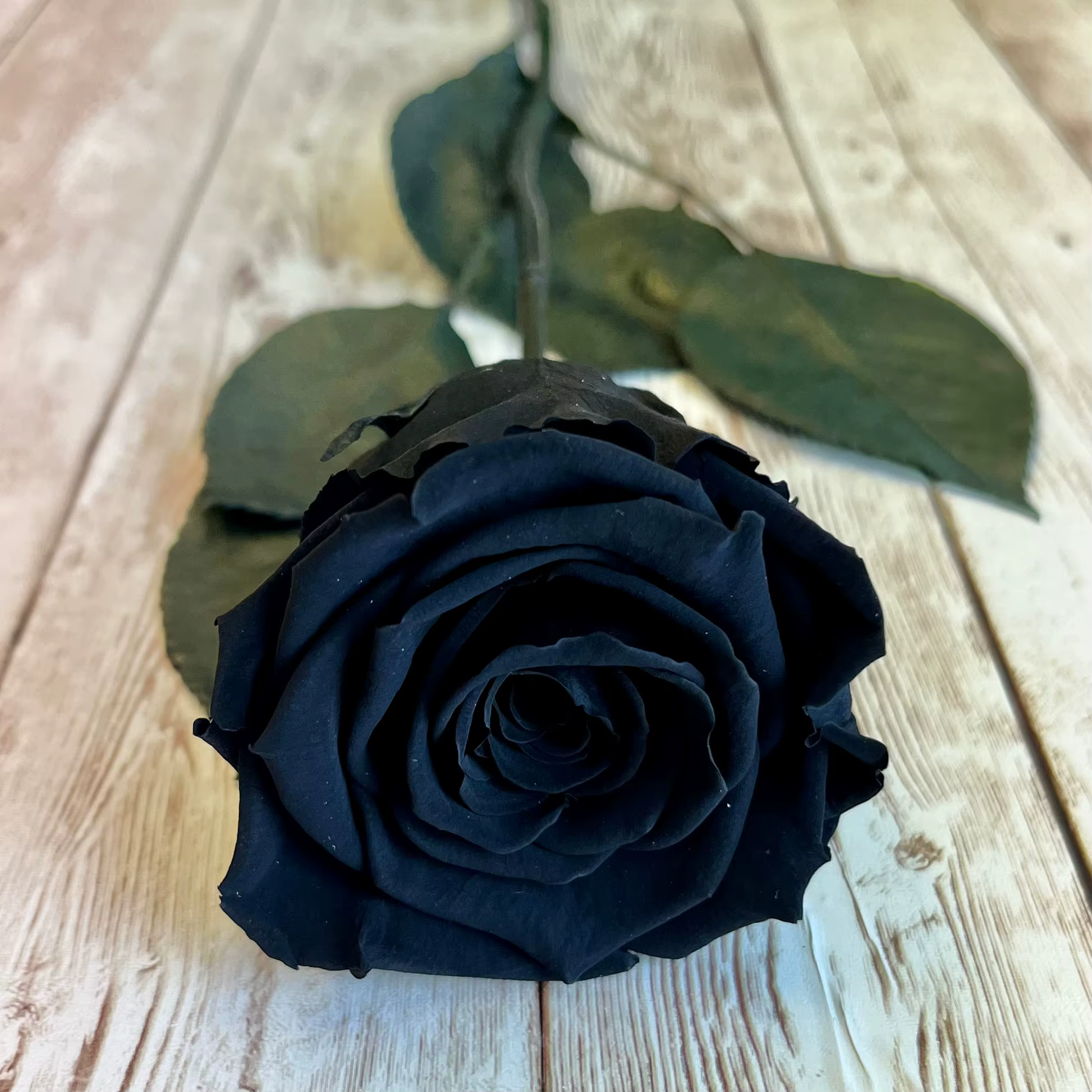 Group rose avec tige pour femme, fleur éternelle naturelle, fleur unique, longue durée, anniversaire
