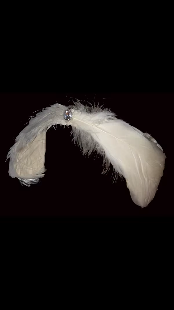 Plumes de ballet pour femmes, bandeau de sauna, accessoires pour cheveux, fzheaddress