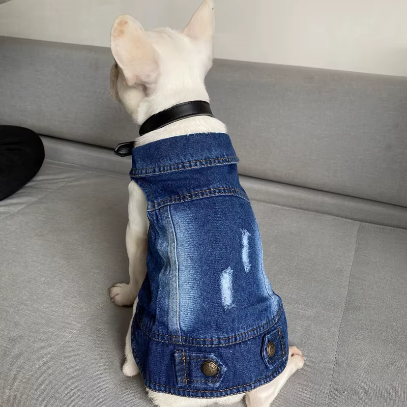 Mode chat Denim gilet chiot veste jean décontracté manteau tenues printemps automne chat vêtements pour chaton petits moyens chats vêtements pour animaux de compagnie