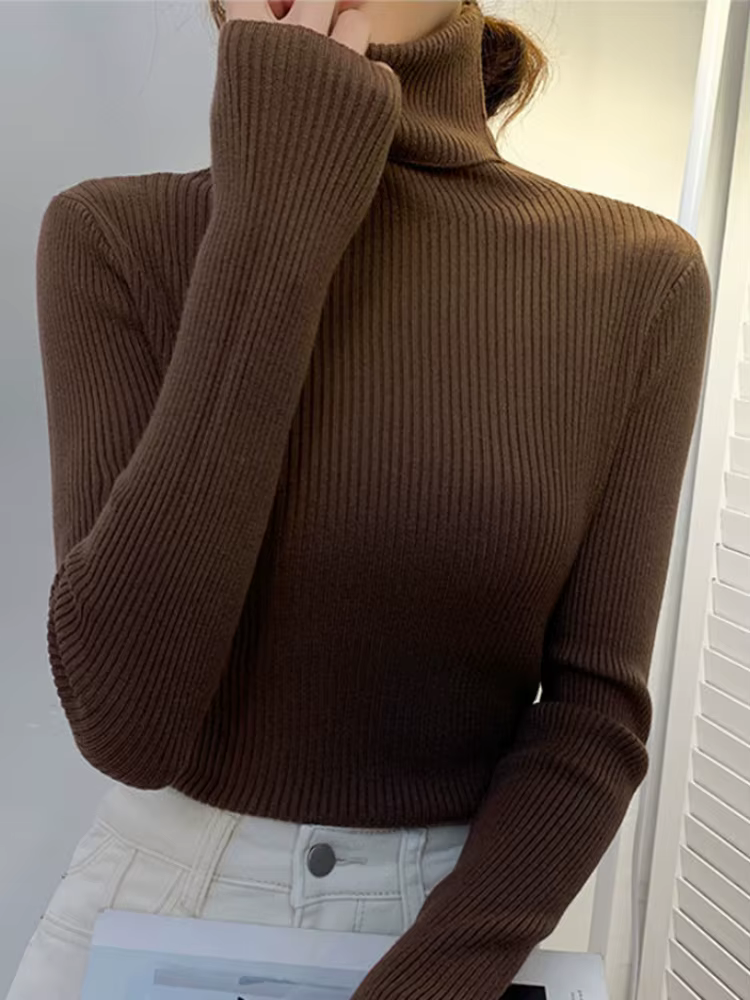 ZOpastels-Pull à col roulé à manches longues pour femmes