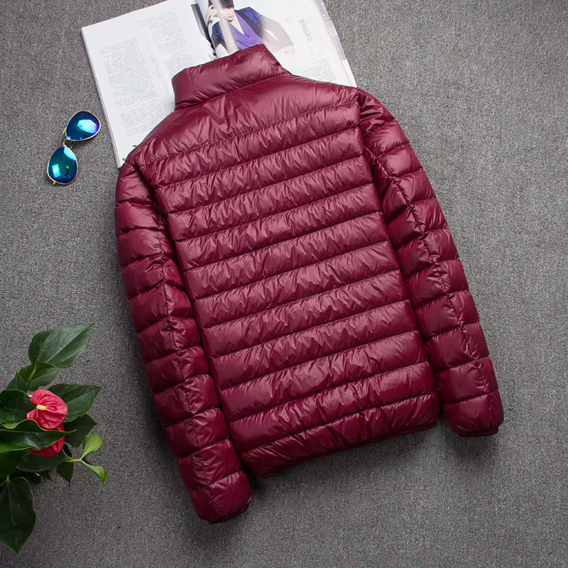 Nouveau automne et hiver doudoune hommes mode à capuche Super léger chaud mince manteau doudoune hommes manteau