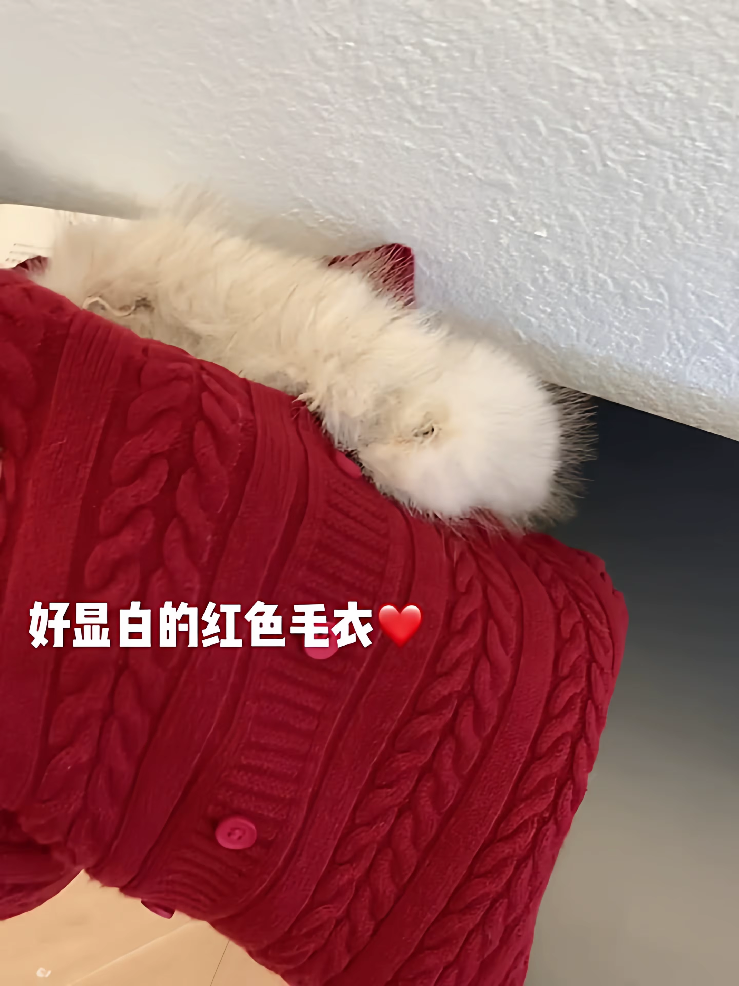 Pull de noël torsadés rouge