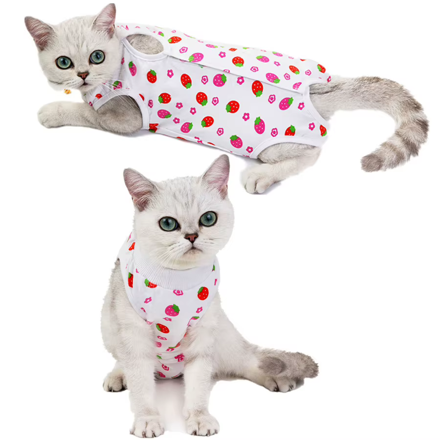 Gilet de récupération pour chat – Combinaison de protection et post-chirurgie confortable, tissu tricoté anti-léchage, fermeture à bouton facile pour les petites races