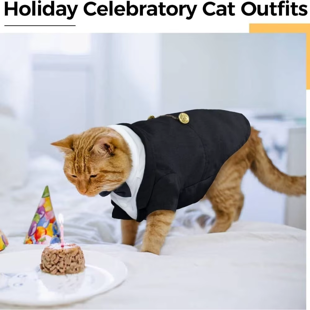 Chemise chat gilet vêtements chat anniversaire manteau vêtements tenue formelle robe de mariée avec cravate mariage anniversaire chat gilet nœud papillon cravate
