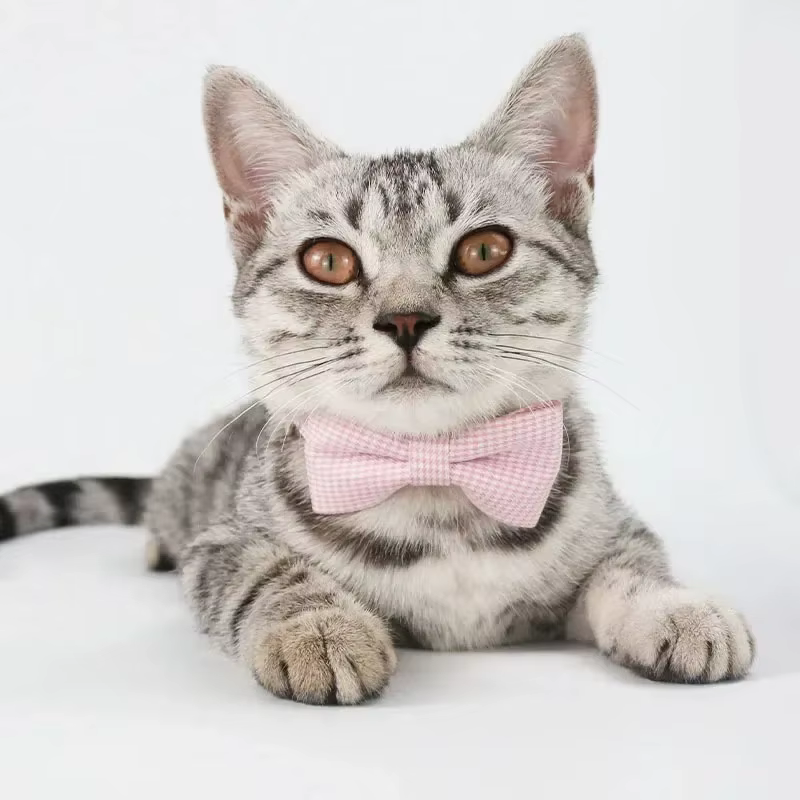 Collier pour chat mignon avec nœud papillon, Design réglable, pour chiens, chats, chiots, fournitures pour animaux de compagnie