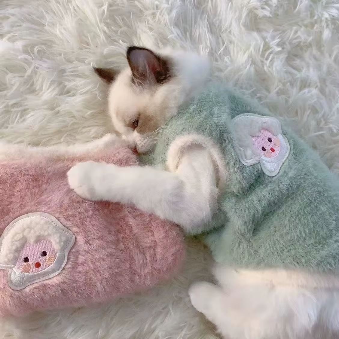 Adorables vêtements d'automne et d'hiver pour chat, gilet épais pour la chaleur, conception Anti-chute pour chiots, chatons et petits animaux de compagnie