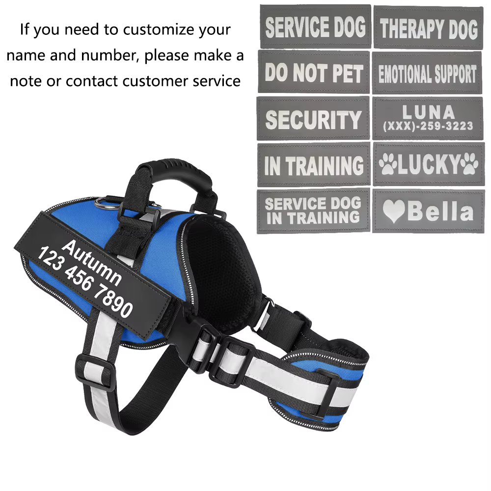 SFP-Glaçage Respirant et Réglable pour Chien, Patch pour Collier avec Nom, pour Animal de Compagnie Moyen et Grand