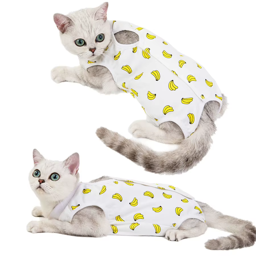 Gilet de récupération pour chat – Combinaison de protection et post-chirurgie confortable, tissu tricoté anti-léchage, fermeture à bouton facile pour les petites races