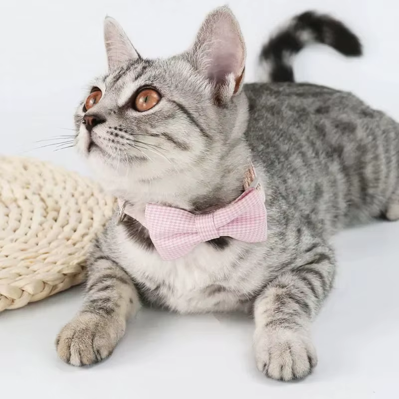 Collier pour chat mignon avec nœud papillon, Design réglable, pour chiens, chats, chiots, fournitures pour animaux de compagnie