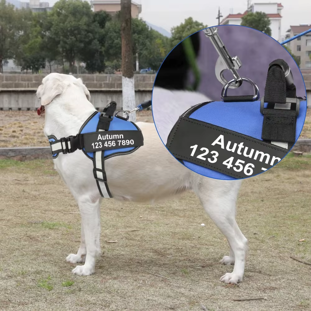 SFP-Glaçage Respirant et Réglable pour Chien, Patch pour Collier avec Nom, pour Animal de Compagnie Moyen et Grand