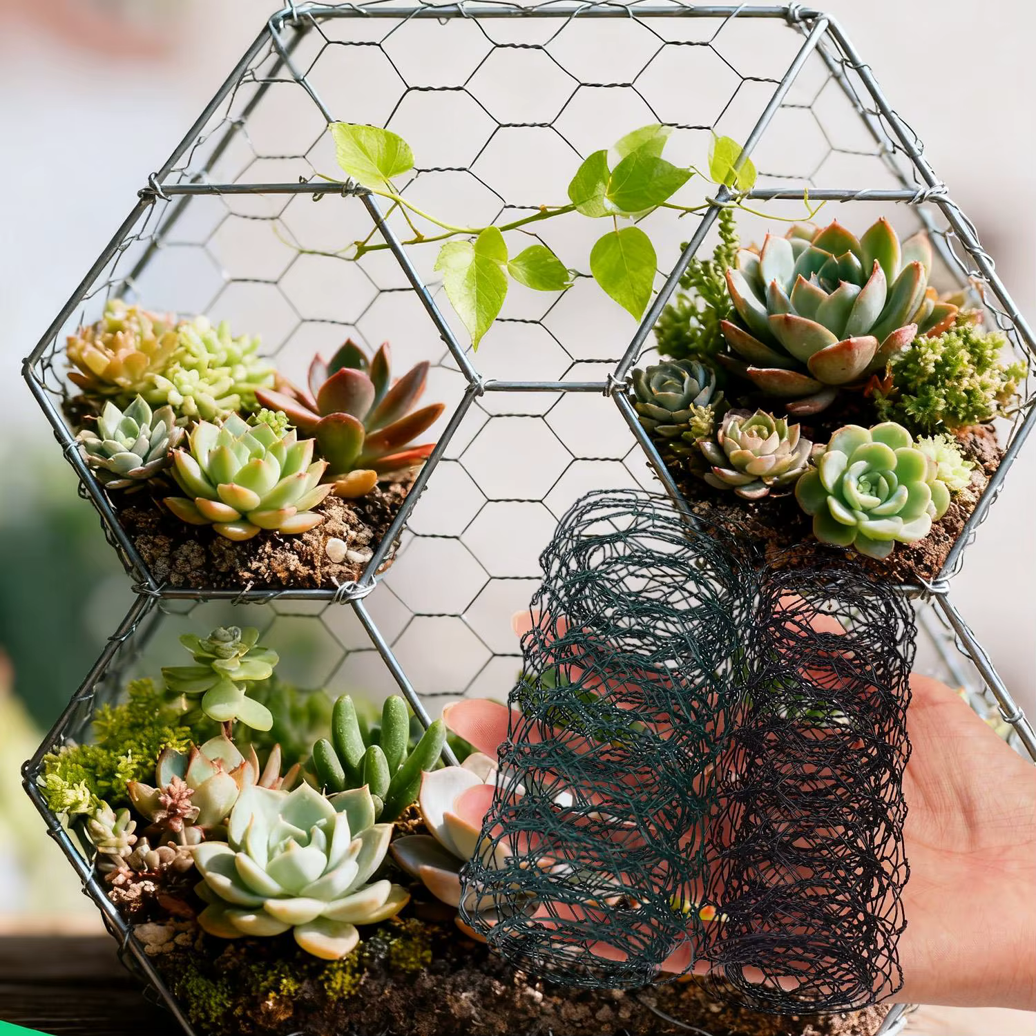 Fil métallique Hexagonal de 1/10M, fixation de jardin, rouleaux de filet pour poulailler, plantes de volaille, fleurs, filets de protection, bricolage, maille artisanale