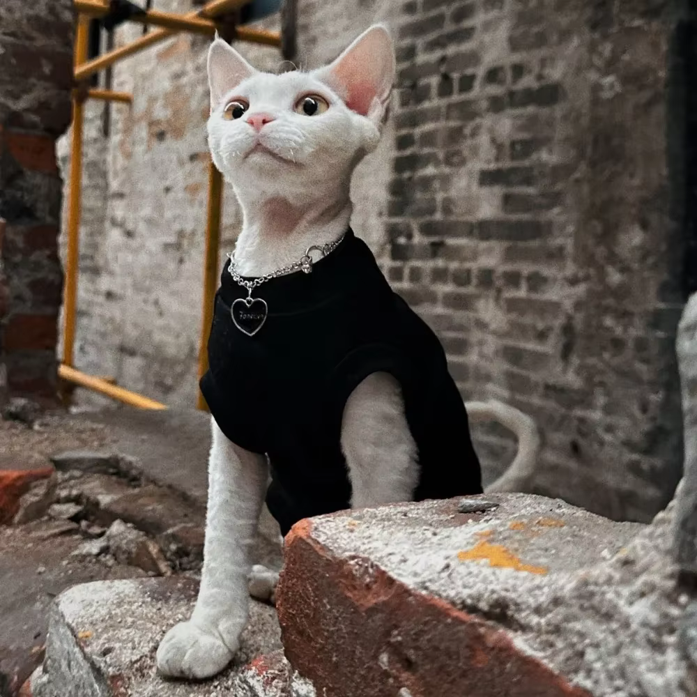 Gilet en coton pour chat, doux et sans manches, fin et doux, pour Devon et Cornish, été