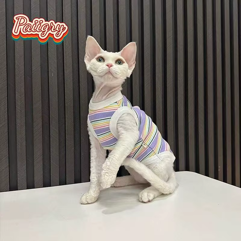 Gilets rayés colorés pour chats, vêtements d'été pour animaux de compagnie, pour chats sans poils, chats Devon, vêtements pour chats très extensibles