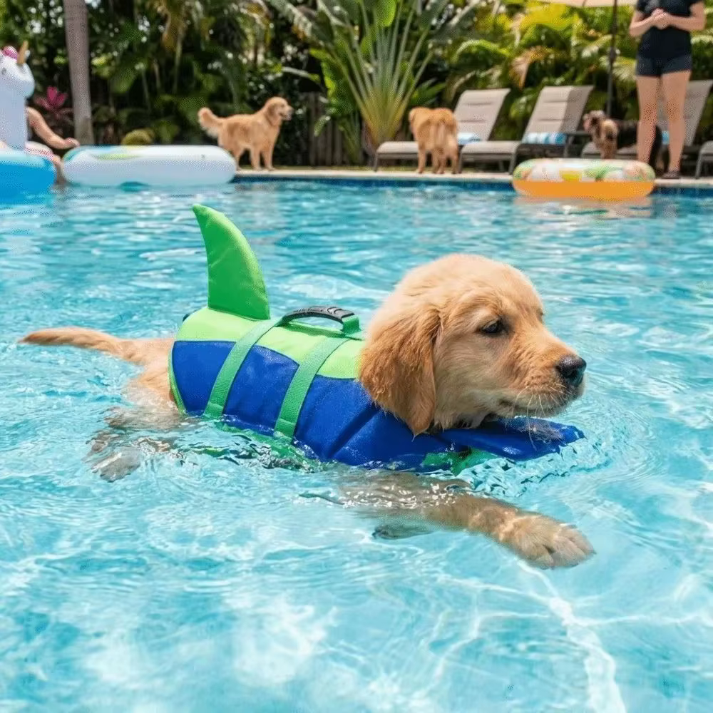 Gilet de sauvetage pour chien en forme de requin, respirant, imperméable, résistant aux déchirures, gilet de natation pour chiot, gilet de sécurité pour piscine