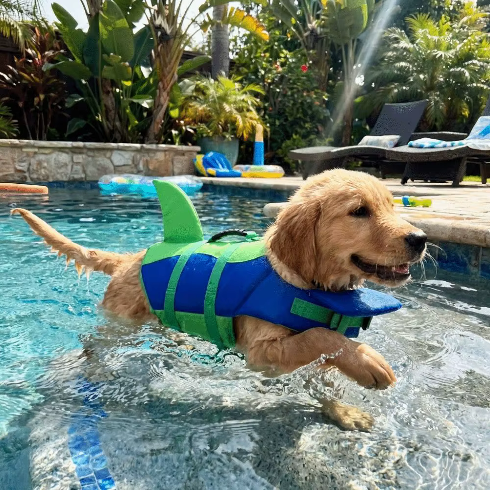 Gilet de sauvetage pour chien en forme de requin, flottabilité supérieure, veste de sauvetage réglable pour animaux de compagnie, haute visibilité, résistant aux déchirures, combinaison de natation po