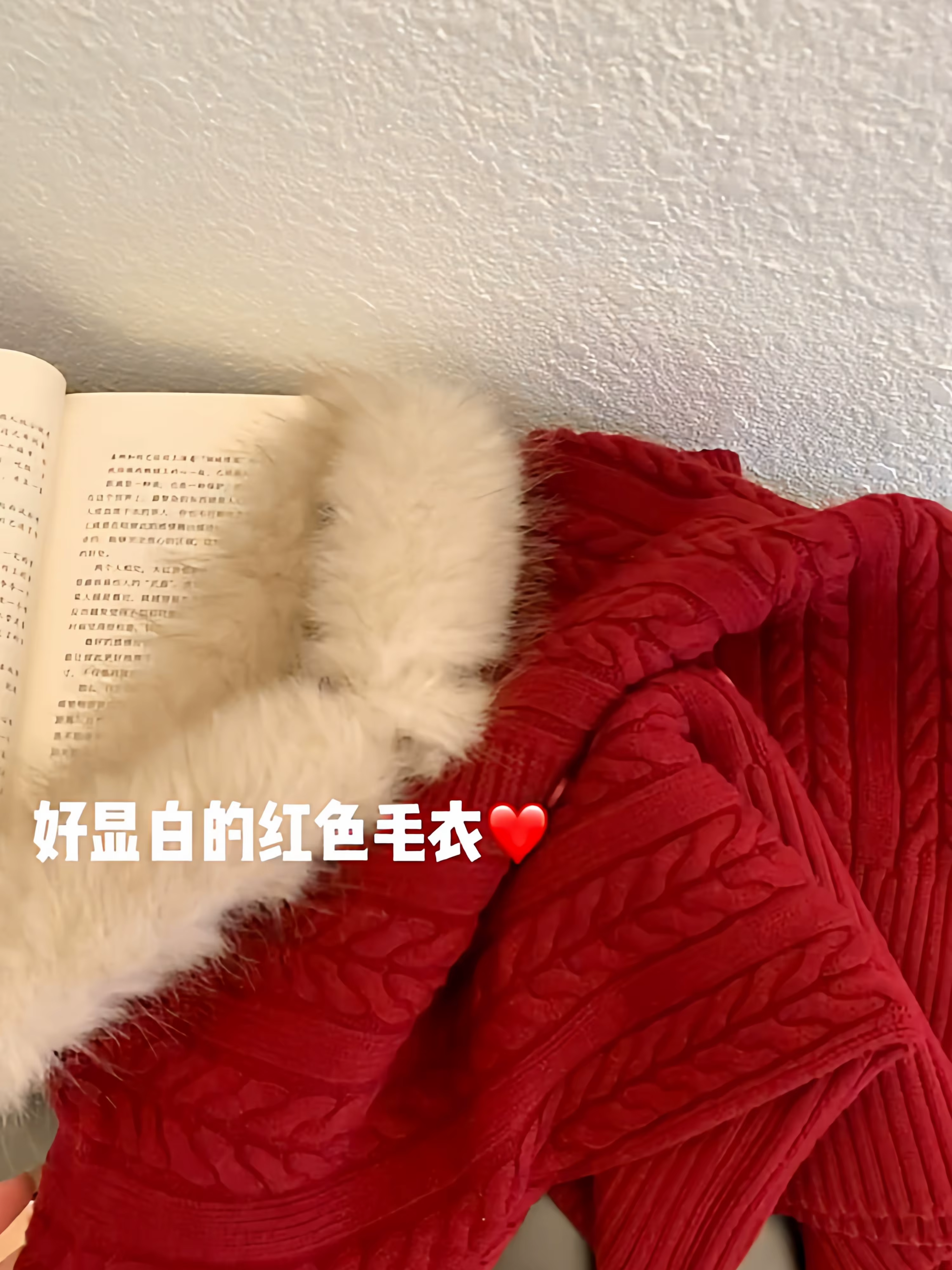 Pull de noël torsadés rouge
