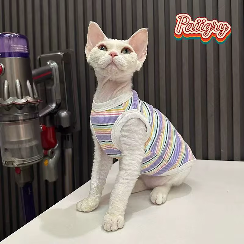 Gilets rayés colorés pour chats, vêtements d'été pour animaux de compagnie, pour chats sans poils, chats Devon, vêtements pour chats très extensibles