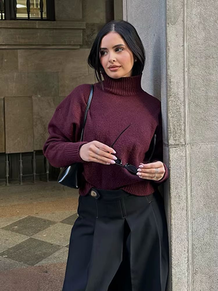 HH femmes hiver nouvelle mode polyvalent doux col montant pull femme haute rue décontracté à manches longues 3 couleurs