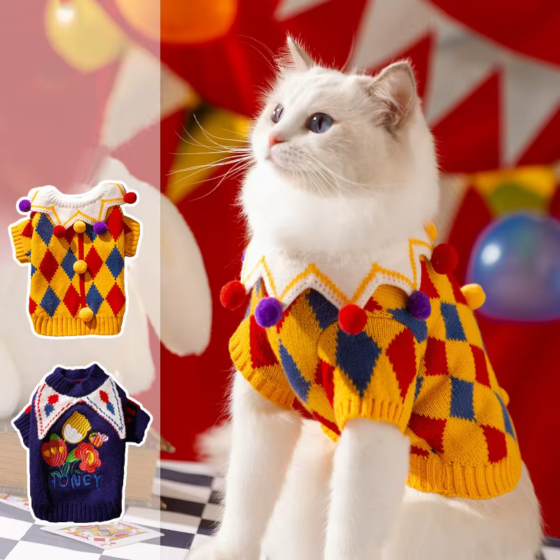 Mignon chien pull hiver