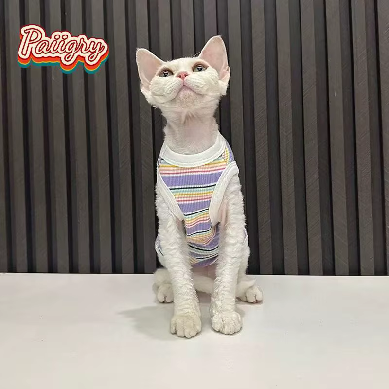 Gilets rayés colorés pour chats, vêtements d'été pour animaux de compagnie, pour chats sans poils, chats Devon, vêtements pour chats très extensibles