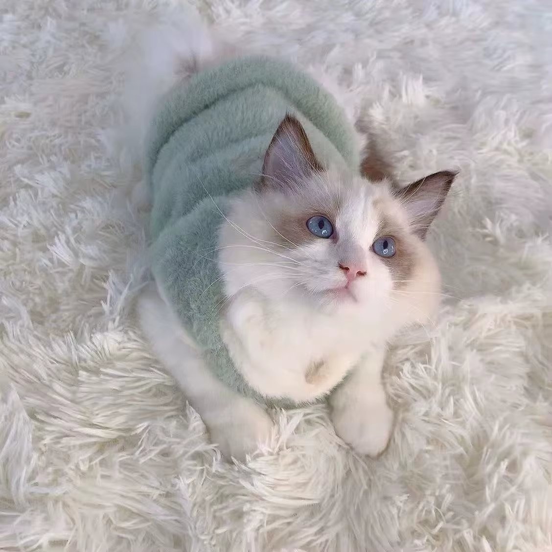 Adorables vêtements d'automne et d'hiver pour chat, gilet épais pour la chaleur, conception Anti-chute pour chiots, chatons et petits animaux de compagnie