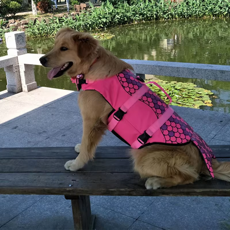 Gilet de sauvetage pour chien requin, flottabilité améliorée, vêtements de natation pour petits chiens, gilet de sécurité avec poignée pour Costume de surf pour chien de taille moyenne et grande