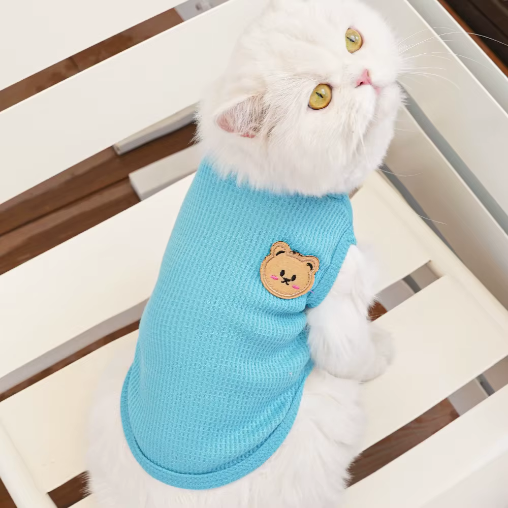 Vêtements pour chat, ours gaufré, gilet pour animaux de compagnie, Teddy d'été, Chihuahua, petit chien, vêtements à deux pattes, vêtements pour chiots, Costume pour animaux de compagnie