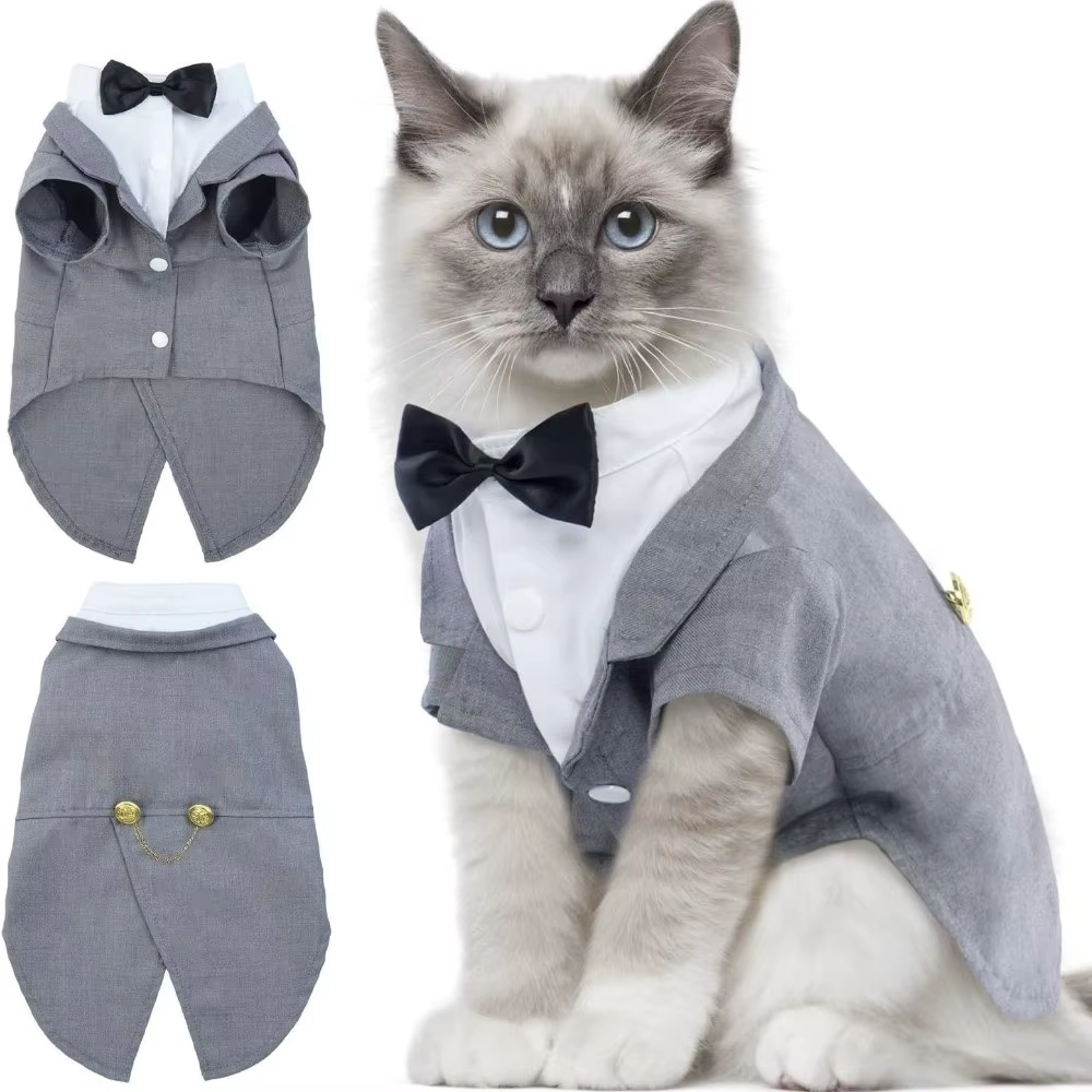 Chemise chat gilet vêtements chat anniversaire manteau vêtements tenue formelle robe de mariée avec cravate mariage anniversaire chat gilet nœud papillon cravate