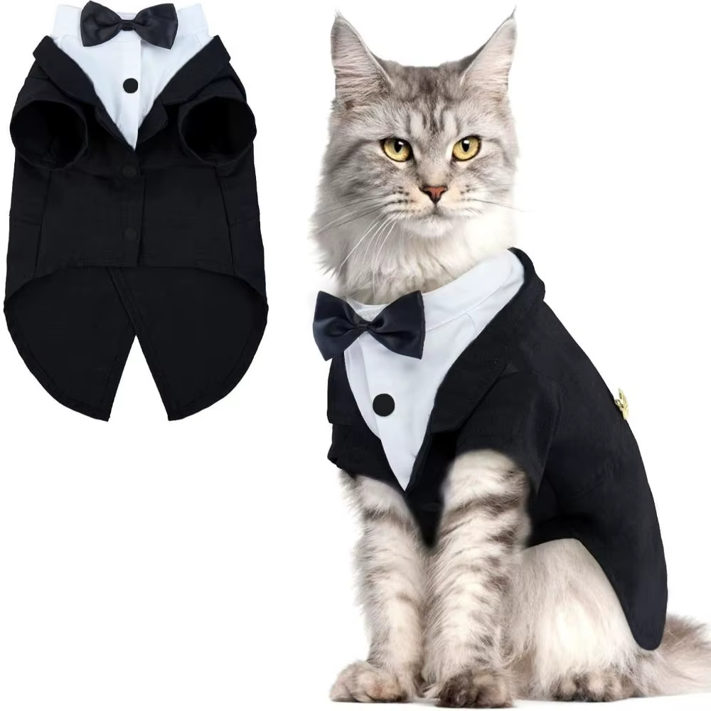 Chemise chat gilet vêtements chat anniversaire manteau vêtements robe de mariée avec cravate tenue formelle mariage anniversaire chat gilet nœud papillon cravate