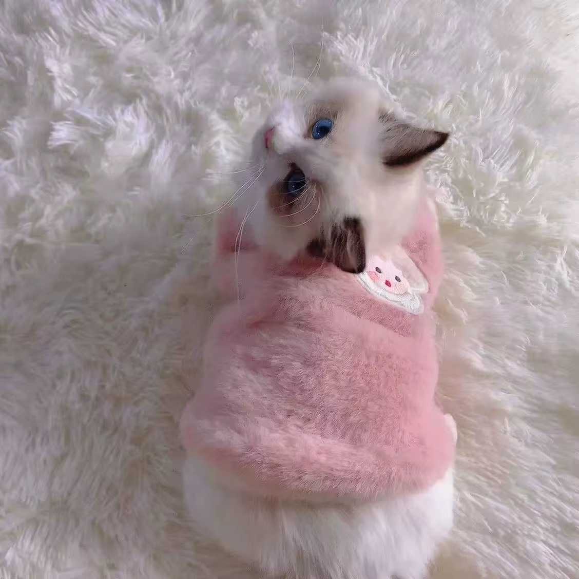 Adorables vêtements d'automne et d'hiver pour chat, gilet épais pour la chaleur, conception Anti-chute pour chiots, chatons et petits animaux de compagnie