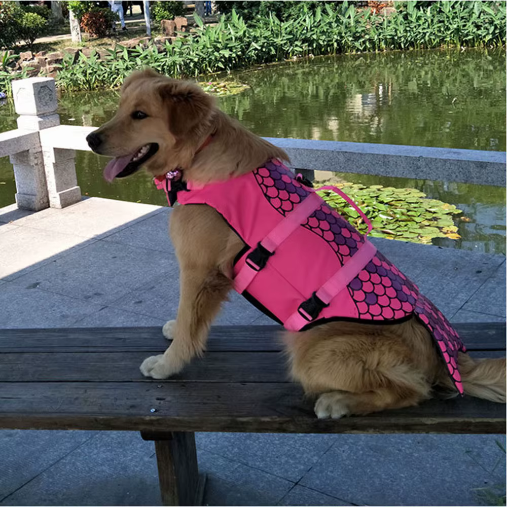 Gilet de sauvetage pour chien requin, vêtements de natation, gilet de sauvetage pour chiot, harnais de col, maillot de bain pour chien moyen et grand, tenues d'été pour animaux de compagnie