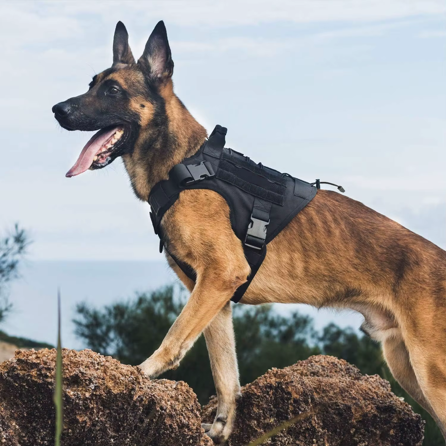 Harnais pour chien, harnais tactique pour chien avec poignée, gilet pour chien de Service sans traction avec panneaux à crochet et boucle, harnais réglable pour chien pour Wa