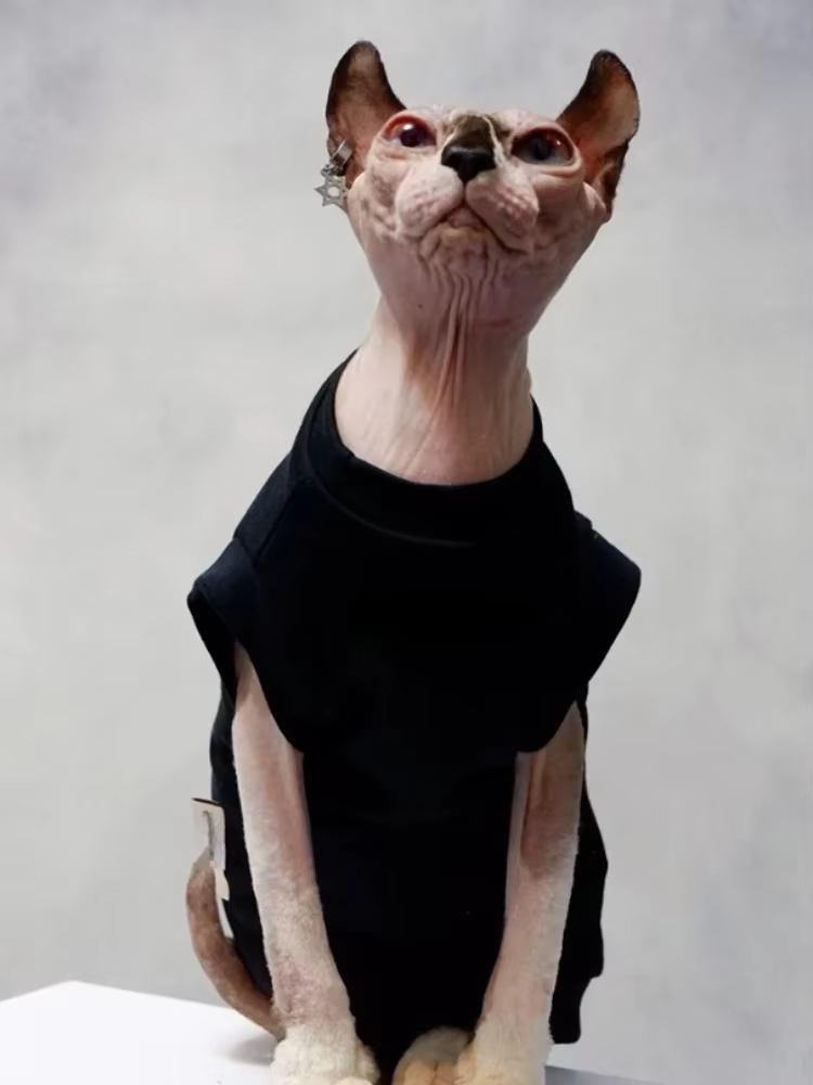 Gilet en coton pour chat, doux et sans manches, fin et doux, pour Devon et Cornish, été